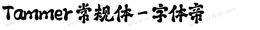 Tammer 常规体字体转换